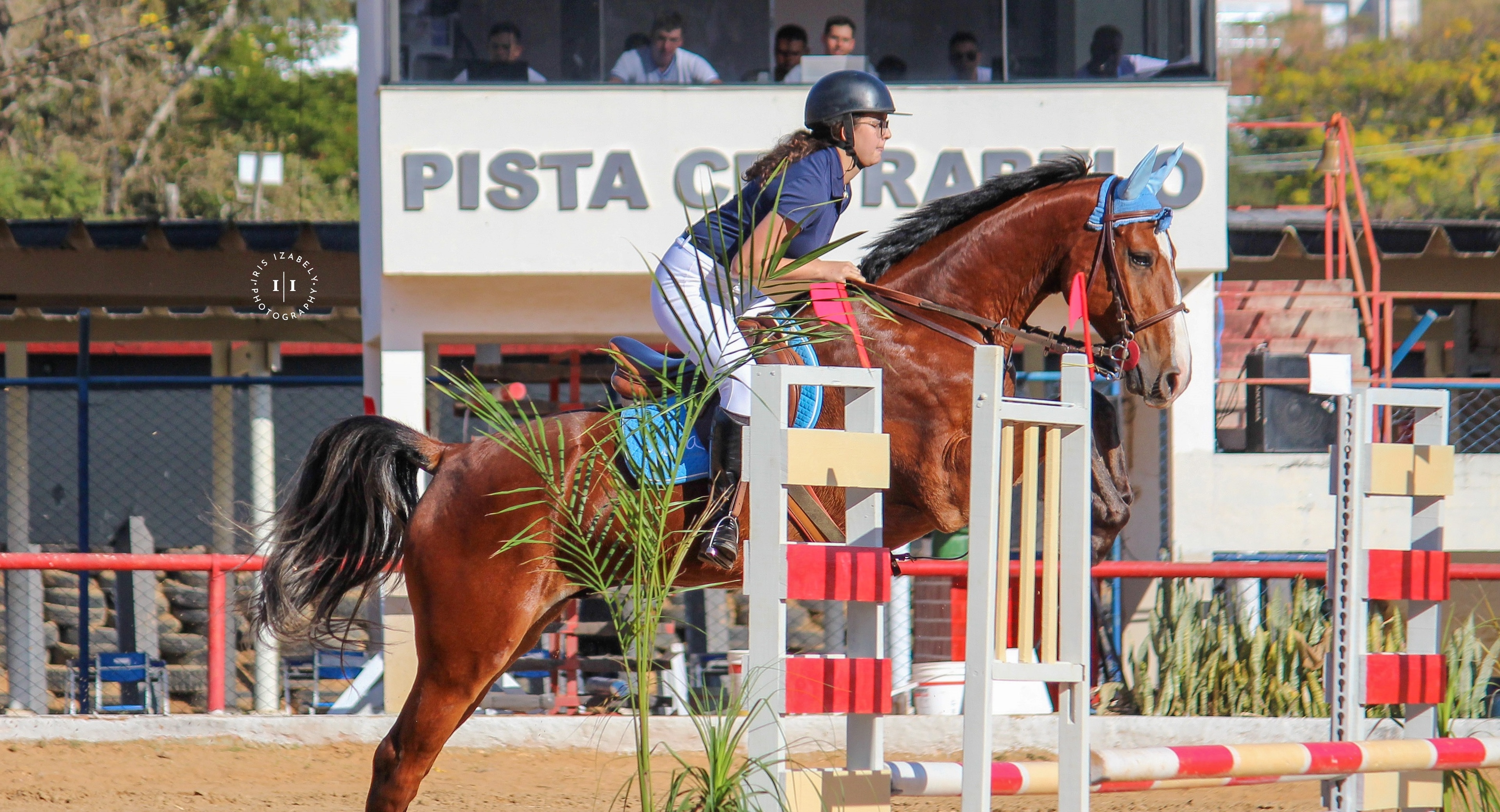 Katie Bailey standing with her dark brown horse against a white brick wall